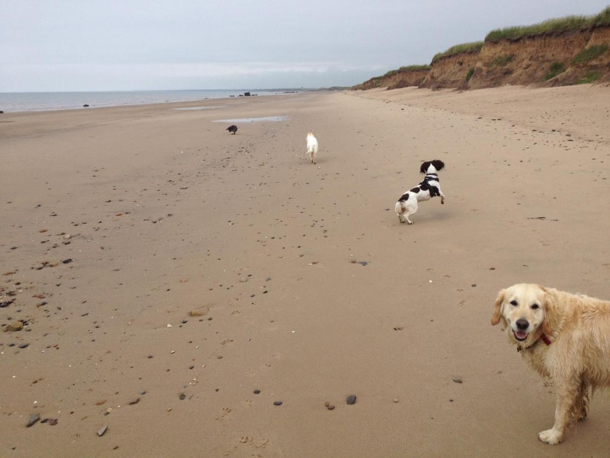 Luxury Dog Friendly Cottage Sleeps 4 Bridlington Ngoại thất bức ảnh